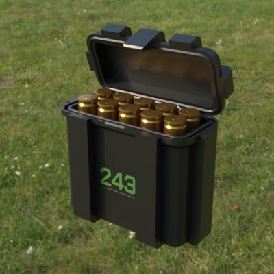 Munitionsbox .243 Winchester – 10er (ABox)