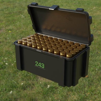 Munitionsbox .243 Winchester – 50er (ABox)