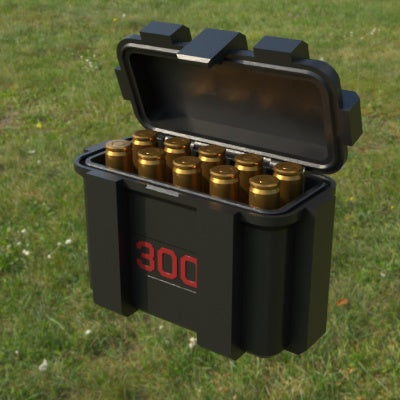 Munitionsbox .300 AAC Blackout – 10er (ABox)