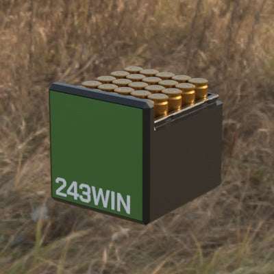 Munitionsbox .243 Winchester – 25er (BBox)
