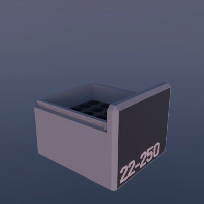 Munitionsbox .22-250 Remington – 25er (BBox)