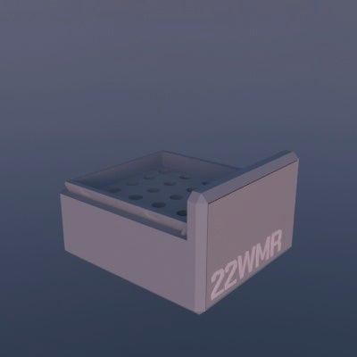 Munitionsbox .22 WMR – 25er (BBox)